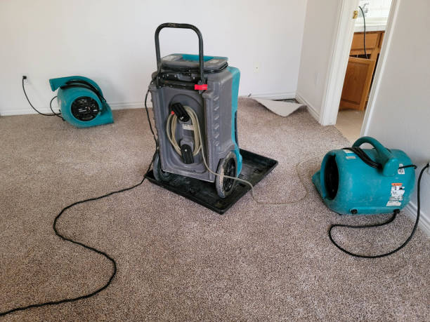 Carpet water damage restoration