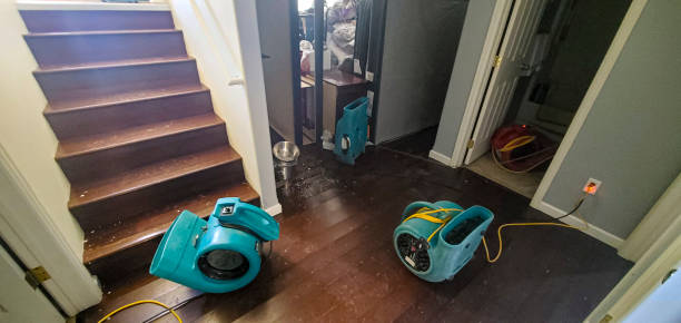 Best Water damage cleanup near me  in Cao, ND