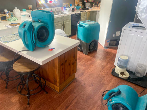 Best Water damage contractors near me  in Cao, ND