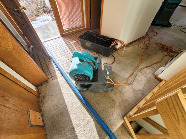 Best Water damage restoration experts  in Cao, ND