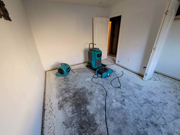 Best Mold removal after water damage  in Cao, ND