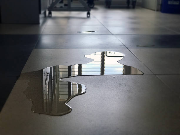Best Local water damage restoration  in Cao, ND